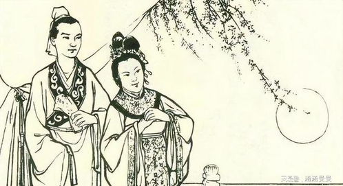 傲世神医，医术与智慧的交融（100集深度解析）