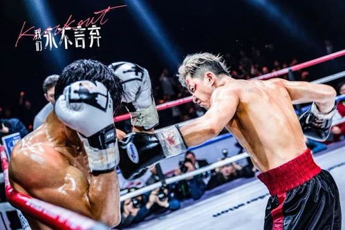 加油！拳王妈妈（70集），励志传奇与不屈精神