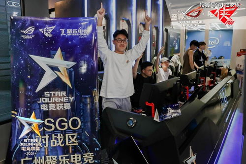 娱乐天王（86集），胡冬晴的璀璨星途与无尽魅力