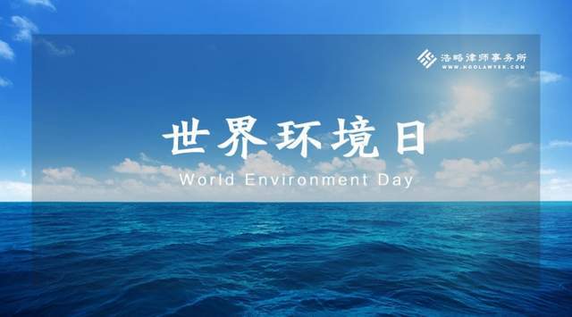 超然，生活的深度解读与探索