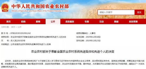 河南发布干部任职公示，新时代的人才战略布局