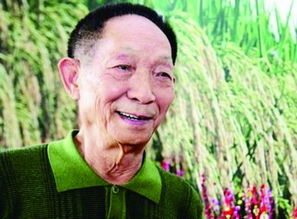 袁隆平与黄旭华，两位巨匠的深情同框，感动无数心灵