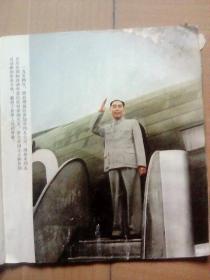 泰总理，我把白桦林做成版画带回国