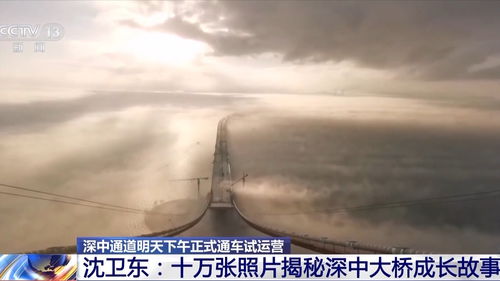 钓龙传奇，探寻第94集背后的故事与魅力