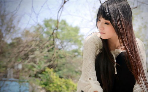 我的极品女房东（73集）
