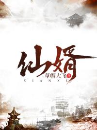 凤栖凤息回故乡，一部归途与重生的故事（36集）