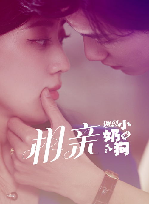 天才萌宝与复婚的奇迹，妈咪要复婚（91集）