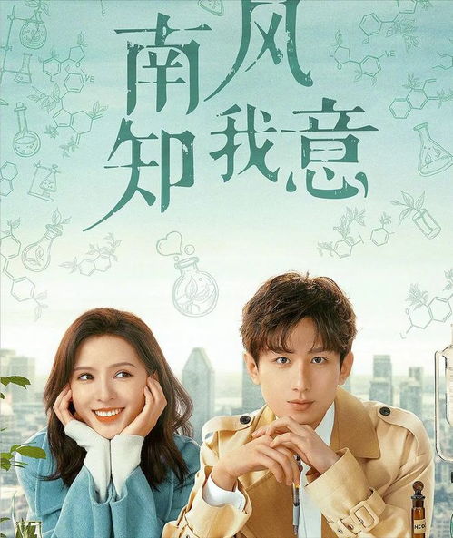 闪婚后，傅先生乖乖宠我剧情解析（一）