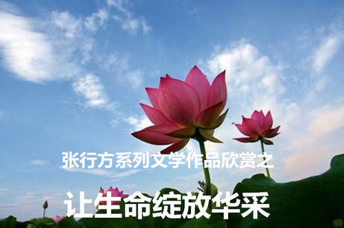 我自盛开（46集），绽放的生命与无限可能