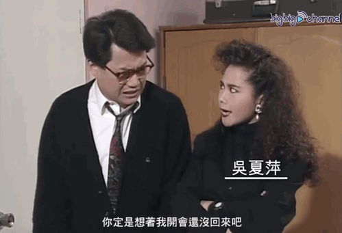 女老板的复仇（33集连续剧剧情大纲）