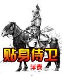 我的贴身侍卫（74集）