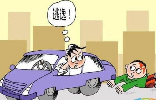 小伙失恋后夜不能寐，下楼整理电瓶车成心灵疗愈之旅