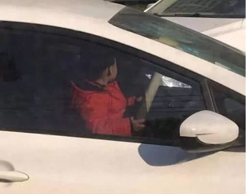小车外带甘蔗，两广网友解读意头