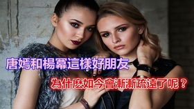女总裁的锲约未婚夫（101集）
