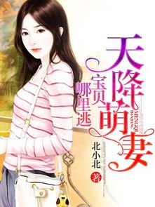 天降萌宝，南宫少爷喜当爹——一个温馨动人的故事（第91集）
