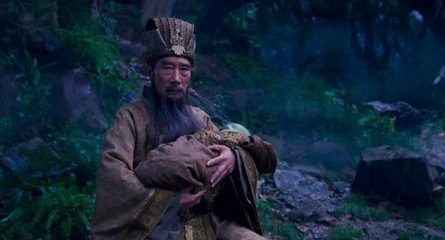 真武王（91集）与赵慧楠，传奇的交织