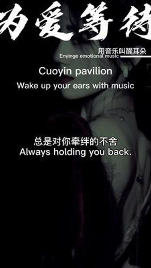 偏爱藏不住，深度解读一部情感巨作（78集）