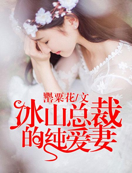 我的冰山总裁老婆（93集）的非凡人生