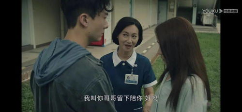 恶毒女婿别惹我，深度解读一部充满戏剧张力的家庭伦理剧