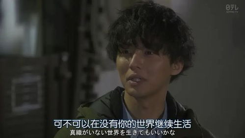 他的金丝雀，一场跨越时空的爱恋（80集剧情概述）