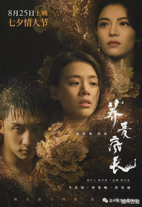 我的长姐，何以为家（67集）