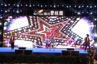 极品神豪，奢华、智慧与影响力的完美融合