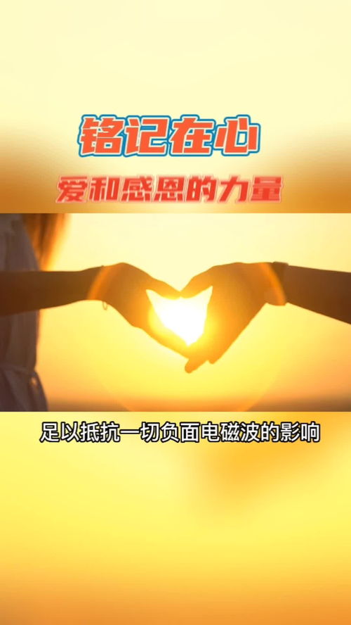 好运来的力量，一部充满正能量的励志剧（92集深度解析）