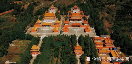 杨扬，被尊重的金牌才是真正的金牌