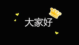 Grateful to the Enthusiastic Crowd:孙颖莎夺冠后的感言