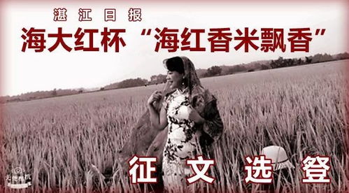 由南向北（88集），李会长的故事