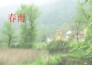 春雨无声（88集）