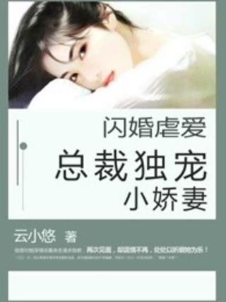 闪婚总裁小娇妻