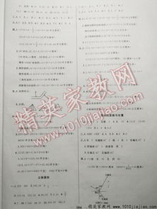 新版望子成龙，深度解读与启示