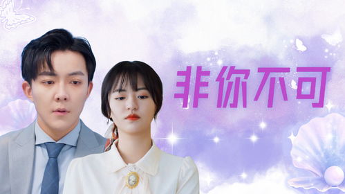 我爱你命中注定，一场跨越时空的深情告白（95集深度解析）