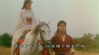 战神长公主（60集），权谋与情感的交织传奇