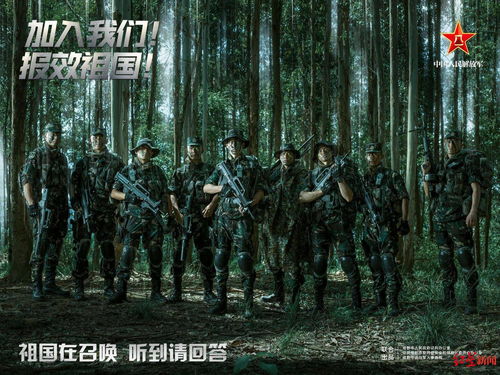 华夏龙组，深入解析一部震撼人心的82集巨作