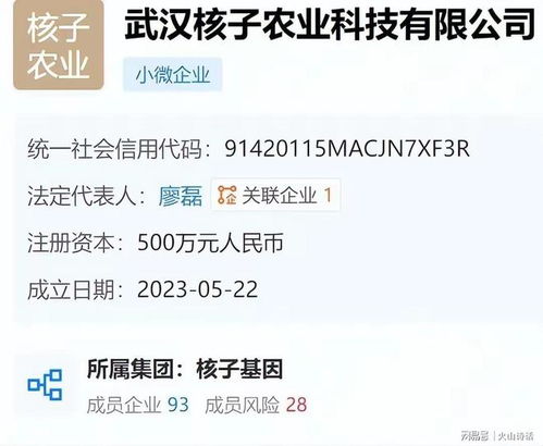 核酸大王张核子被限制高消费，背后的故事与启示