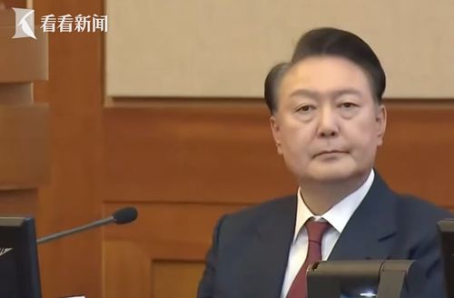尹锡悦弹劾案庭审第7场公开辩论结束，焦点、争议与前景展望