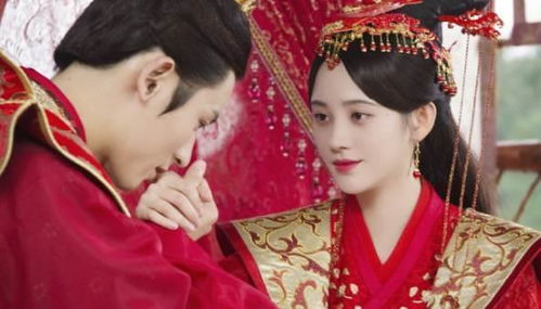 奉旨追妃，一场宫廷爱情的波澜曲折（98集）