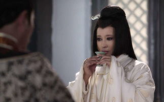 失明王妃杀心归来（80集）