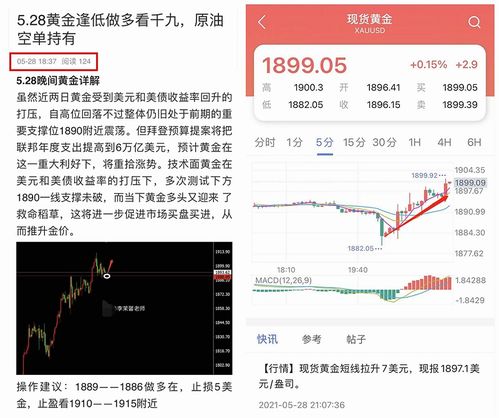 我有九千万亿系统金（67集）