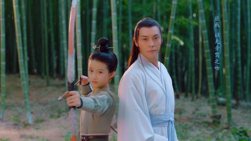 少帅夫人又重生了（第85集）深度解析与感悟
