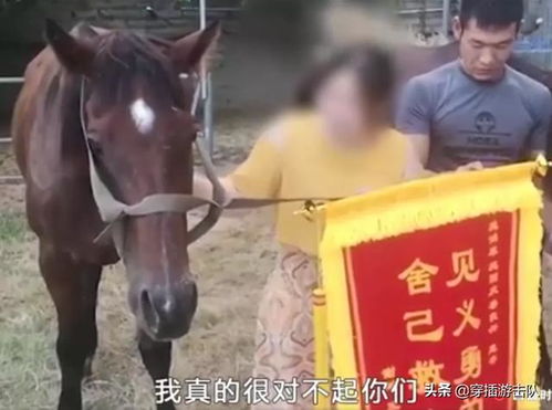 跳江救人白马主人获赠新白马，英勇事迹与善举的完美结合