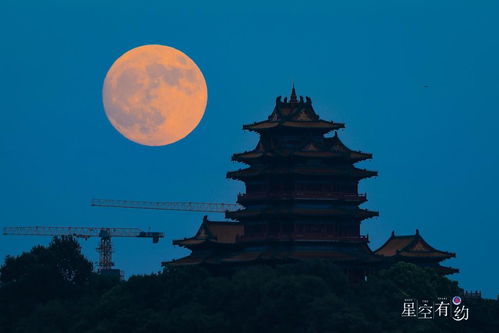 明月何时照我还（87集），归途中的期盼与感悟