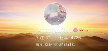 撩欢，一场情感的盛宴（98集深度解析）
