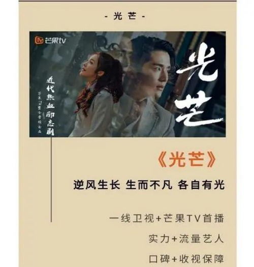 卿归芳意晚（90集）剧情解析与赏析