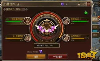 主宰，权力与荣耀的交织（100集深度解析）