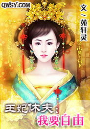 王妃今天休夫了吗？——一部穿越剧的激荡人心之旅（第100集）