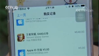 多名用户称遭遇伪苹果弹窗盗刷银行卡事件，警惕网络安全风险！