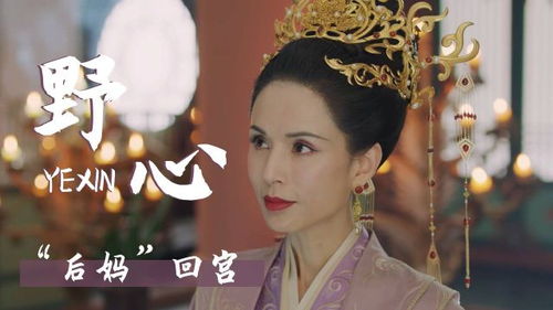 王妃惊华，风华绝代之传奇